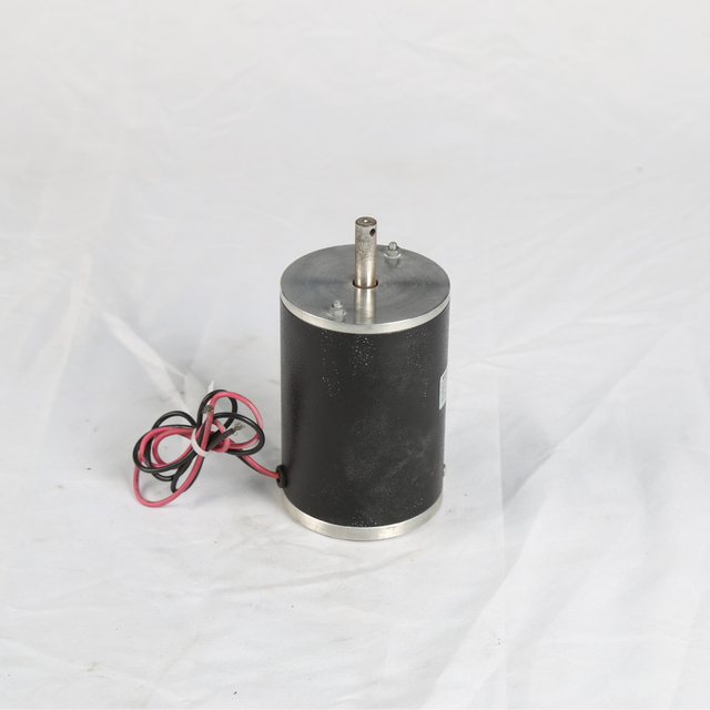 Motore CC con spazzole 50ZYT - Motore CC da 50 mm per azionamenti industriali
